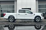 New 2024 Ford F-150 STX SuperCrew Cab RWD, Pickup for sale #T3826 - photo 4