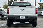 New 2024 Ford F-150 XL Regular Cab 4WD, Pickup for sale #T3843 - photo 6