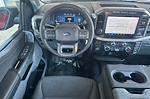 New 2024 Ford F-150 XLT SuperCrew Cab RWD, Pickup for sale #T3905 - photo 12