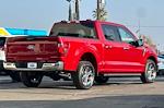 New 2024 Ford F-150 XLT SuperCrew Cab RWD, Pickup for sale #T3905 - photo 5