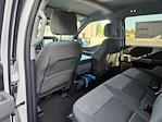 2023 Ford F-150 SuperCrew Cab RWD, Pickup for sale #122723 - photo 15