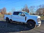 New 2024 Ford F-250 XLT Crew Cab 4WD, Pickup for sale #131524 - photo 3