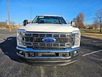 New 2024 Ford F-250 XLT Regular Cab 4WD, Pickup for sale #131624 - photo 3