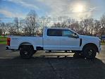 New 2024 Ford F-250 XLT Crew Cab 4WD, Pickup for sale #132924 - photo 8