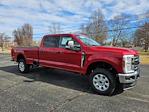 New 2024 Ford F-250 XLT Crew Cab 4WD, Pickup for sale #136924 - photo 5