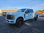 New 2024 Ford F-250 XLT Crew Cab 4WD, Pickup for sale #158324 - photo 4