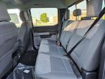 New 2024 Ford F-250 XLT Crew Cab 4WD, Pickup for sale #163024 - photo 16