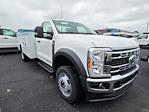 2024 Ford F-550 Regular Cab DRW 4WD, Cab Chassis for sale #581924 - photo 3