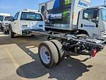 2024 Ford F-550 Regular Cab DRW 4WD, Cab Chassis for sale #584924 - photo 5