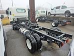 New 2024 Isuzu NPR-HD Regular Cab 4x2, Cab Chassis for sale #445424 - photo 6