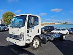 New 2024 Isuzu NPR-XD Regular Cab 4x2, Cab Chassis for sale #445724 - photo 5