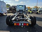 New 2024 Isuzu NPR-XD Regular Cab 4x2, Cab Chassis for sale #445724 - photo 2