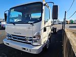 New 2024 Isuzu NPR-HD Regular Cab 4x2, Cab Chassis for sale #446124 - photo 5