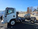 New 2024 Isuzu NPR-HD Regular Cab 4x2, Cab Chassis for sale #446324 - photo 5