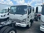 New 2024 Isuzu NQR Crew Cab 4x2, Cab Chassis for sale #7902628 - photo 1