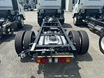 New 2024 Isuzu NPR-HD Regular Cab 4x2, Cab Chassis for sale #S214805 - photo 5