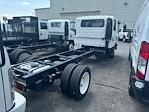 New 2024 Isuzu NPR-HD Crew Cab 4x2, Cab Chassis for sale #S216267 - photo 5