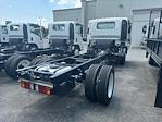 New 2024 Isuzu NPR-HD Regular Cab 4x2, Cab Chassis for sale #S221073 - photo 6