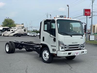 New 2024 Isuzu NQR Cab Chassis for sale | #S500028