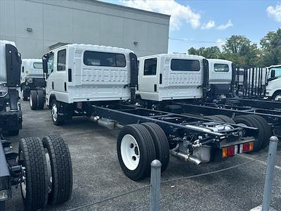 2025 Isuzu NQR Regular Cab 4x2, Cab Chassis for sale #S500094 - photo 2