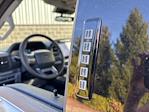 New 2024 Ford F-150 XLT SuperCrew Cab 4x4, Pickup for sale #240963 - photo 12