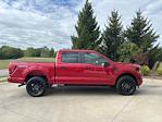 New 2024 Ford F-150 STX SuperCrew Cab 4x4, Pickup for sale #240966 - photo 6