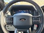 2024 Ford F-150 SuperCrew Cab 4x4, Pickup for sale #240974 - photo 17