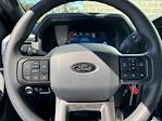 2024 Ford F-150 SuperCrew Cab 4x4, Pickup for sale #240977 - photo 15