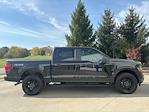 New 2024 Ford F-150 STX SuperCrew Cab 4x4, Pickup for sale #241126 - photo 6