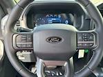 New 2024 Ford F-150 XLT SuperCrew Cab 4x4, Pickup for sale #241128 - photo 18