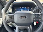 New 2024 Ford F-150 STX SuperCrew Cab 4x4, Pickup for sale #241160 - photo 16