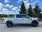 New 2024 Ford F-150 STX SuperCrew Cab 4x4, Pickup for sale #241160 - photo 6