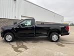 2024 Ford F-150 Regular Cab 4x4, Pickup for sale #241184 - photo 8