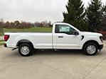 2024 Ford F-150 Regular Cab 4x2, Pickup for sale #241283 - photo 32