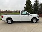 2024 Ford F-150 Regular Cab 4x2, Pickup for sale #241283 - photo 6