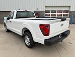 2024 Ford F-150 Regular Cab 4x2, Pickup for sale #241283 - photo 8