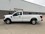 2024 Ford F-150 Regular Cab 4x2, Pickup for sale #241283 - photo 9