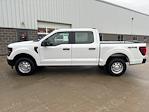 2024 Ford F-150 SuperCrew Cab 4x4, Pickup for sale #241291 - photo 9