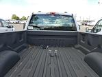 2023 Ford F-250 Regular Cab 4x4, Western Plow Truck for sale #F30523 - photo 10