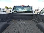 2023 Ford F-250 Regular Cab 4x4, Western Plow Truck for sale #F30523 - photo 24