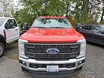 2024 Ford F-250 Regular Cab 4x4, Pickup for sale #F40680 - photo 3