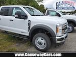 2024 Ford F-450 Crew Cab DRW 4x4, Cab Chassis for sale #F40744 - photo 1