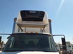 Used 2017 International DuraStar 4300 SBA 4x2, Refrigerated Body for sale #669386 - photo 7