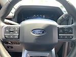 2024 Ford F-150 SuperCrew Cab 4x4, Pickup for sale #A10020 - photo 13