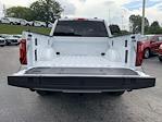 2024 Ford F-150 SuperCrew Cab 4x4, Pickup for sale #B58505 - photo 14