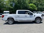 2024 Ford F-150 SuperCrew Cab 4x4, Pickup for sale #D63971 - photo 6