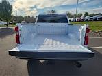 Used 2023 Chevrolet Silverado 2500 Custom Crew Cab 4x4, Pickup for sale #L2861A - photo 30