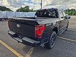 2024 Ford F-150 SuperCrew Cab 4x4, Pickup for sale #FM8087 - photo 6