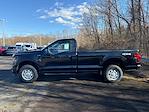 2024 Ford F-150 Regular Cab 4x4, Pickup for sale #FM8409 - photo 3