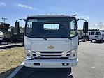 2024 Chevrolet LCF 5500XD Regular Cab RWD, Cab Chassis for sale #C224224 - photo 3